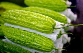 孕妇吃扶手瓜好吗,孕妇食用扶手瓜的适宜性探讨