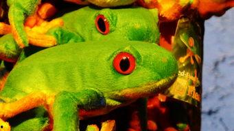 吃瓜的蛙玩偶,萌趣可爱，治愈你的日常