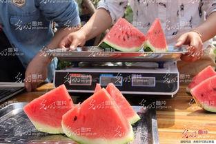 赵如意山东新泰吃瓜,一场意外的网络热议