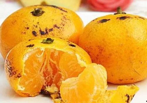 桔子瓜怎么吃最好,桔子瓜的多样美味食用指南