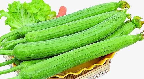 吃瓜就上天天吃店,揭秘“天天吃店”的独特魅力