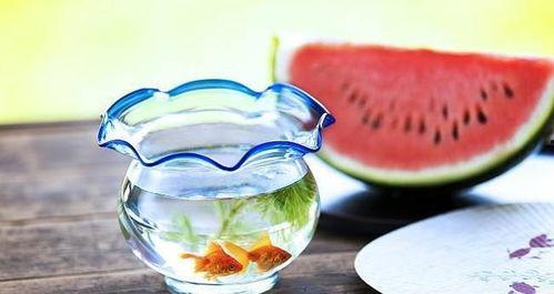 暗黑吃瓜官,揭秘娱乐圈背后的秘密与真相