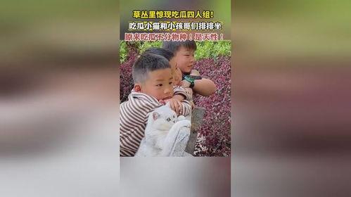 吃瓜四人,揭秘娱乐圈背后的故事