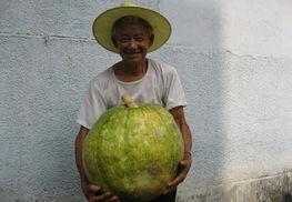 新农村吃瓜新闻,新农村里的吃瓜新闻