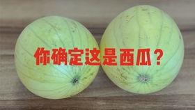 全世界吃瓜比例,瓜果盛行的世界地图