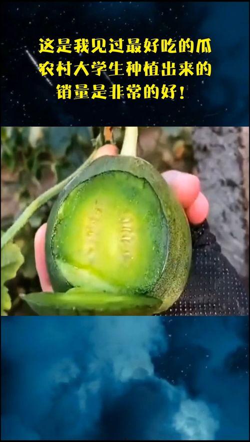 吃瓜 大学生,大学生活中的趣味观察与解读