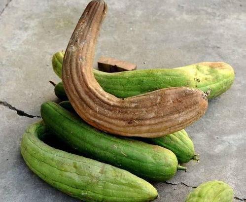 老王虎牙吃瓜,揭秘娱乐圈幕后故事