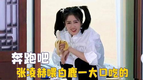 白鹿吃瓜直播,揭秘娱乐圈幕后故事