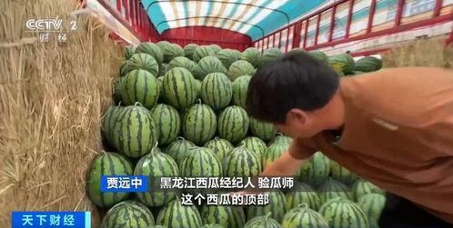 罗欢吃瓜,揭秘娱乐圈幕后故事