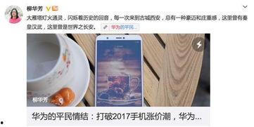 华为团队吃瓜群众,揭秘吃瓜群众的视角下的团队生活