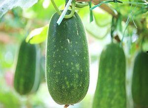 星越吃瓜,揭秘娱乐圈背后的那些事儿