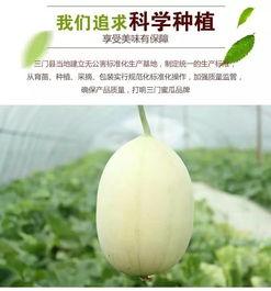 浙江台州吃瓜事件,一场网络热议背后的真相与反思