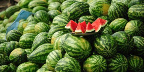 瓜可以分着吃吗,探索瓜果的多样化食用方式
