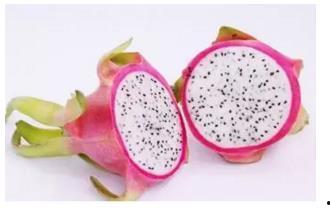 全国真实吃瓜群