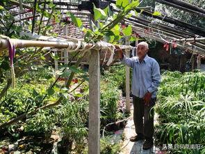 杨集镇吃瓜,瓜香四溢，品味乡村田园生活