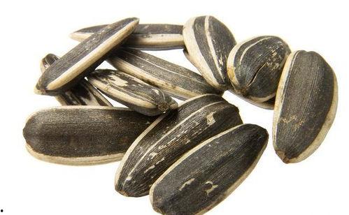 吃瓜配瓜子,一场味蕾与视觉的盛宴