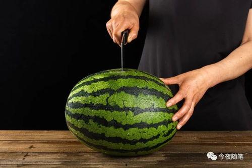 吃瓜小梅梅,揭秘娱乐圈那些不为人知的幕后故事