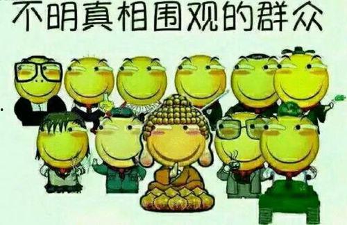 吃瓜群众瓜哥营销号是什么,揭秘吃瓜群众的娱乐盛宴