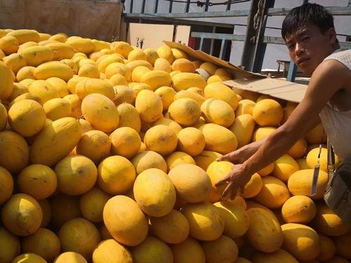 吃瓜qq呼和浩特,吃瓜群众聚焦的网红城市