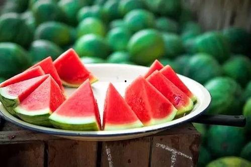 21吃瓜网,21吃瓜网带你领略明星幕后故事