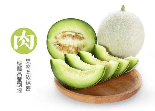 吃网纹瓜过瘾视频,一尝成瘾的甜蜜诱惑体验